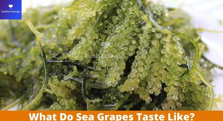 What Do Sea Grapes Taste Like