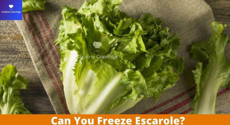 Can You Freeze Escarole