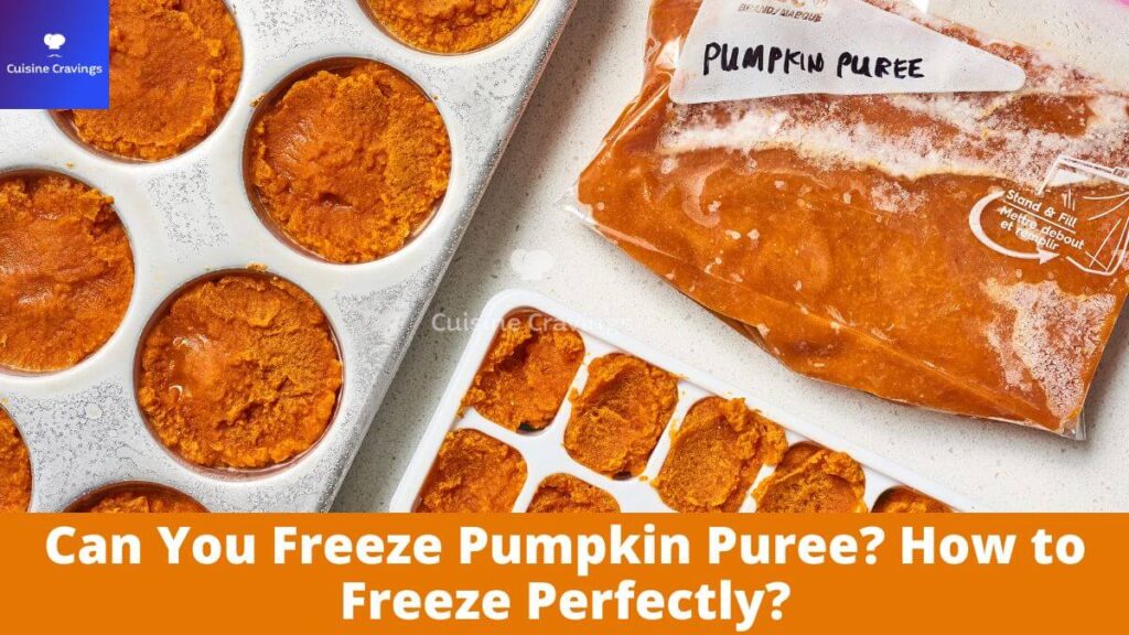 Can You Freeze Pumpkin Puree