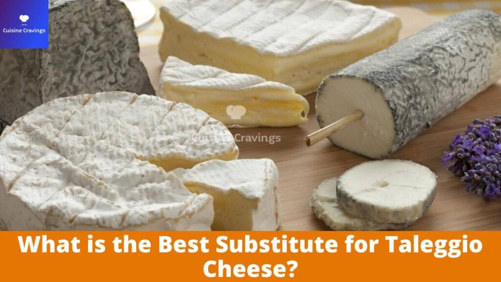 Best Substitute for Taleggio Cheese
