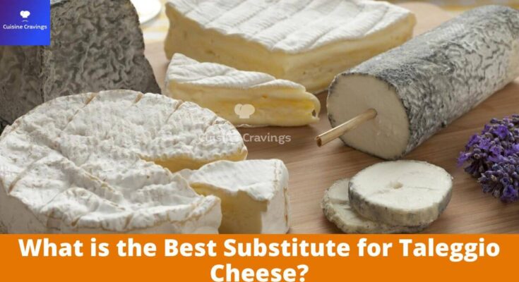Best Substitute for Taleggio Cheese
