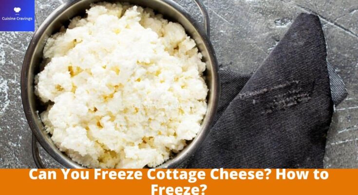 Can You Freeze Cottage Cheese