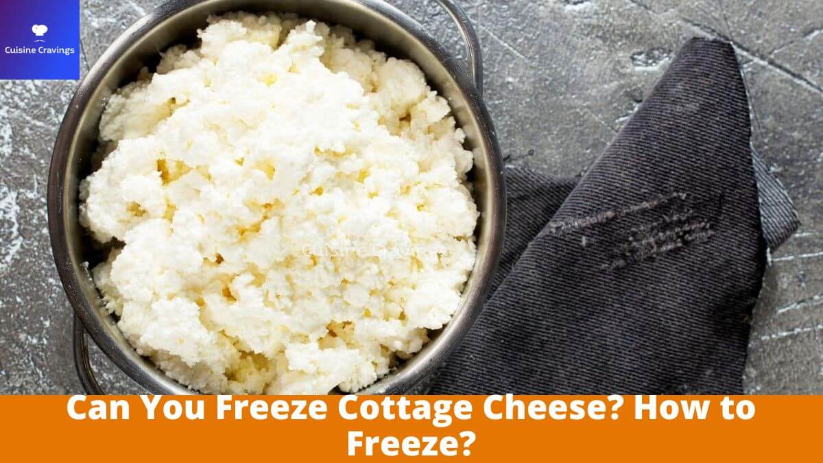 Can You Freeze Cottage Cheese? How to Freeze Properly