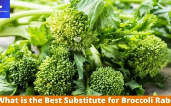 Best Substitute for Broccoli Rabe