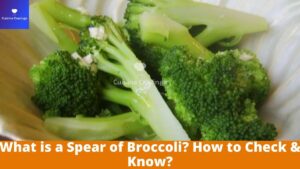 What is a Spear of Broccoli