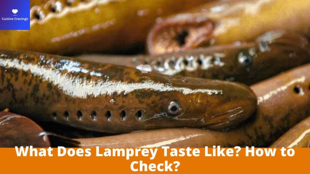 What Does Lamprey Taste Like