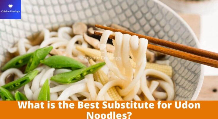 Best Substitute for Udon Noodles