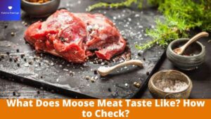 What Does Moose Meat Taste Like