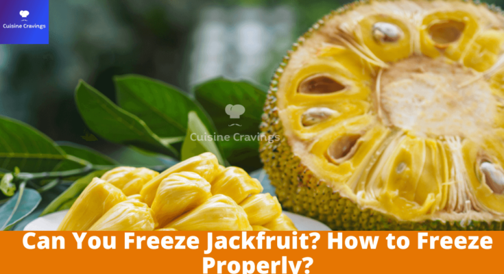 Can You Freeze Jackfruit