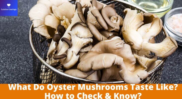What Do Oyster Mushrooms Taste Like