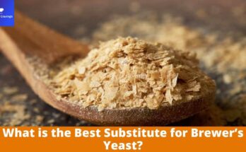 Best Substitute for Brewer’s Yeast