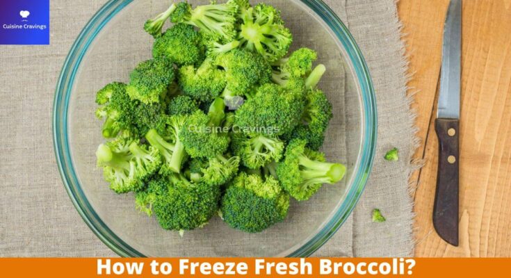 How to Freeze Fresh Broccoli