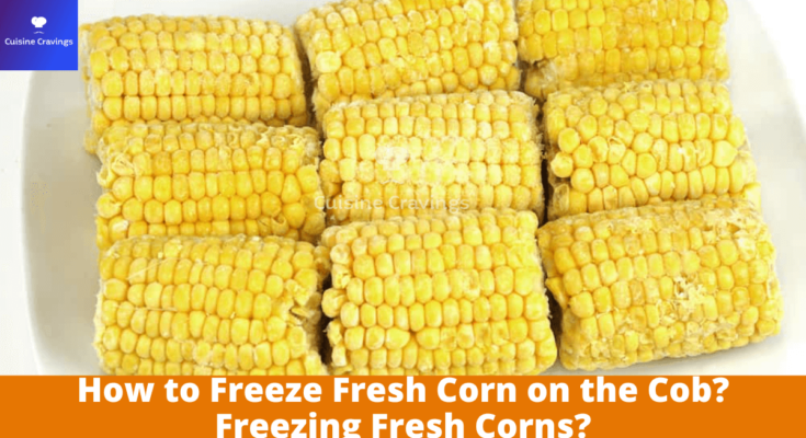 How to Freeze Fresh Corn on the Cob
