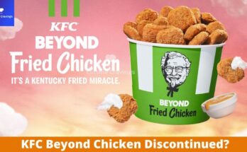 KFC Beyond Chicken Discontinued