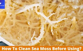 How To Clean Sea Moss Before Using