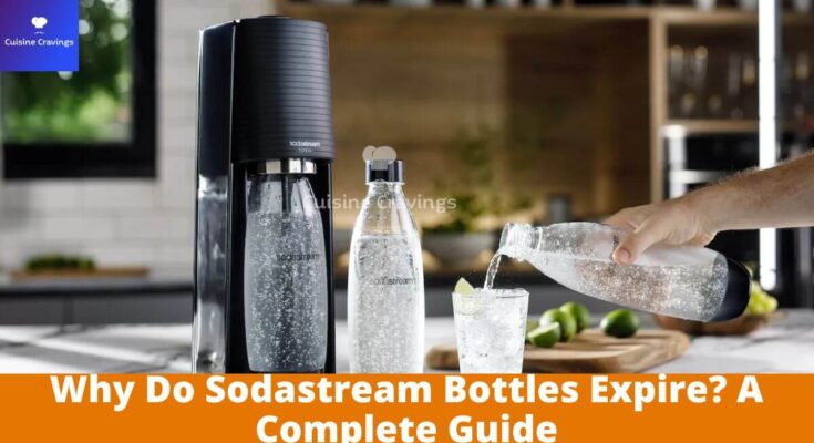 Why Do Sodastream Bottles Expire?