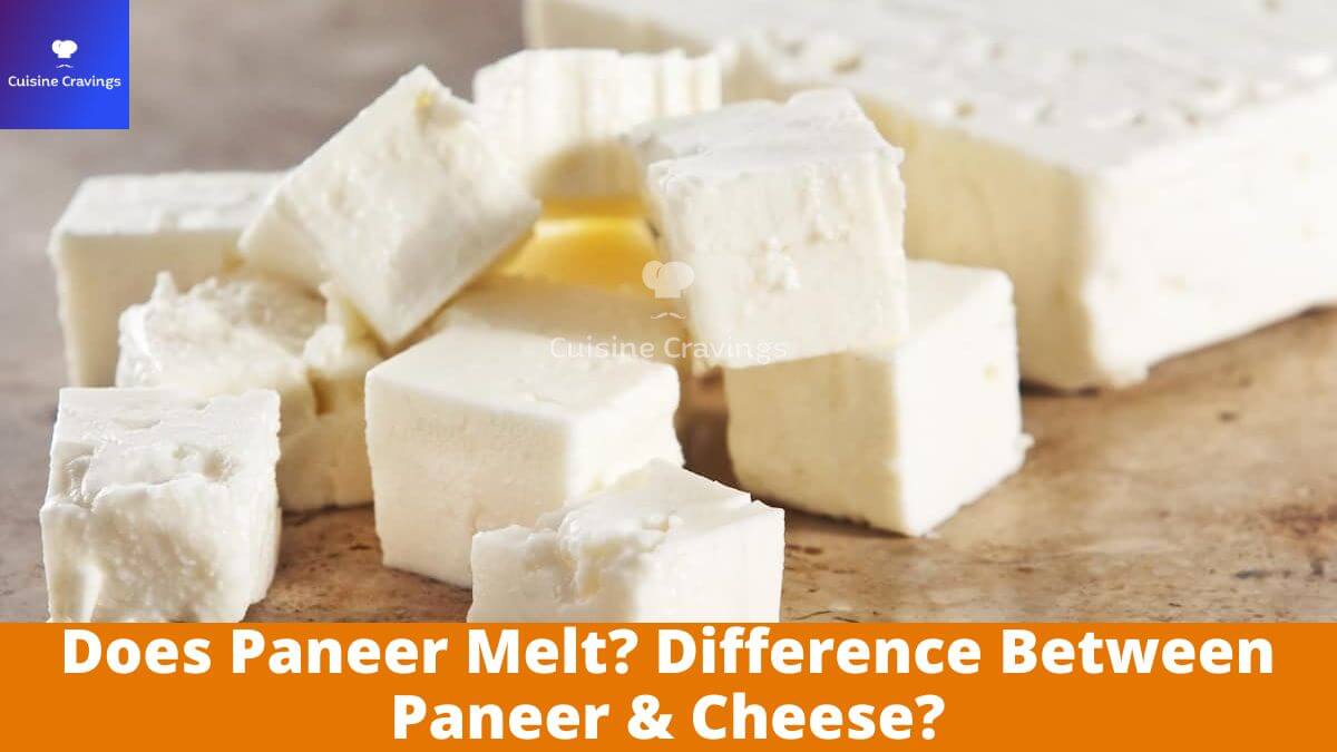Does Paneer Melt? Difference Between Paneer & Cheese?