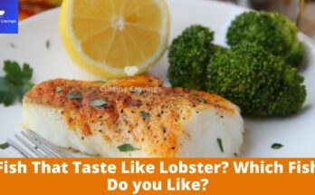Fish That Taste Like Lobster? Which Fish Do you Like?