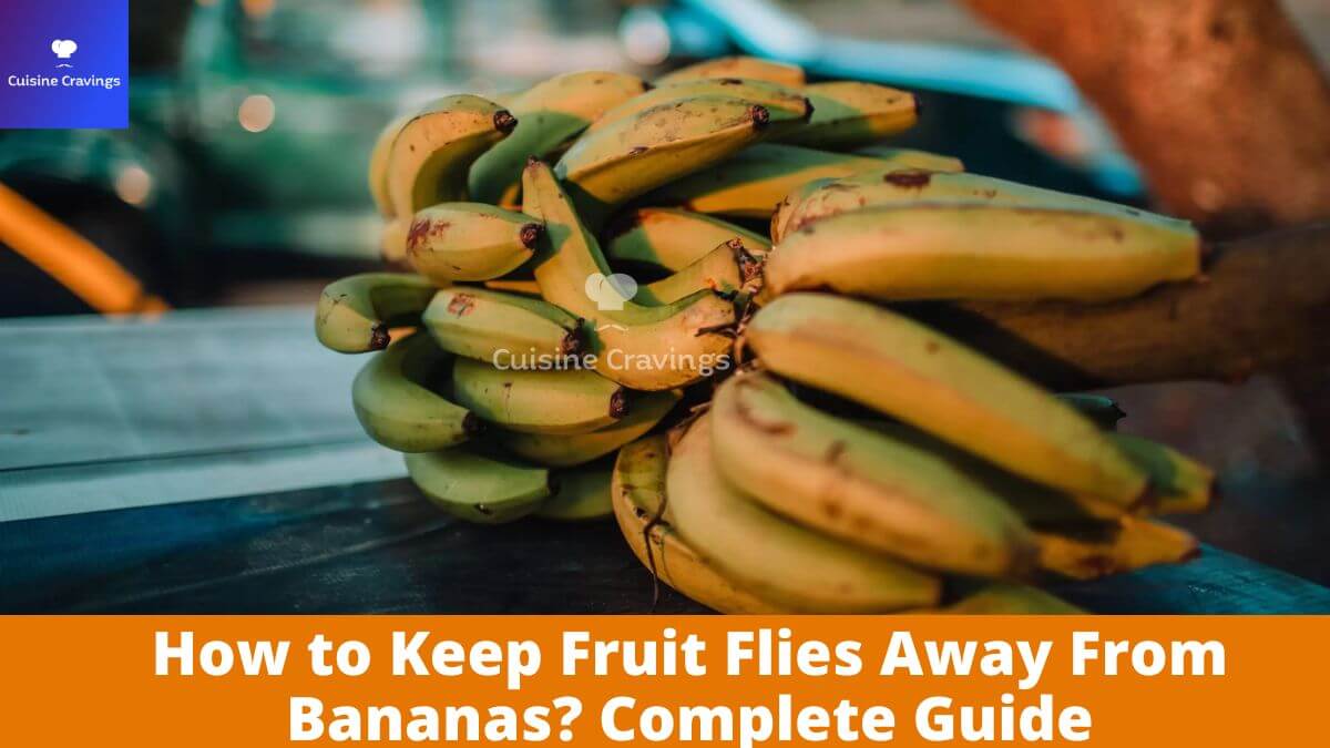 How to Keep Fruit Flies Away From Bananas? Complete Guide