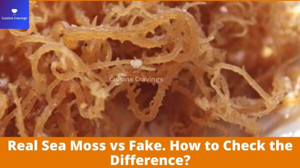 Real Sea Moss vs Fake. How to Check the Difference?