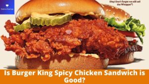 Is Burger King Spicy Chicken Sandwich is Good