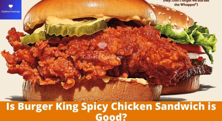 Is Burger King Spicy Chicken Sandwich is Good